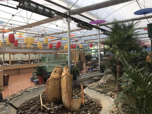 生態(tài)餐廳