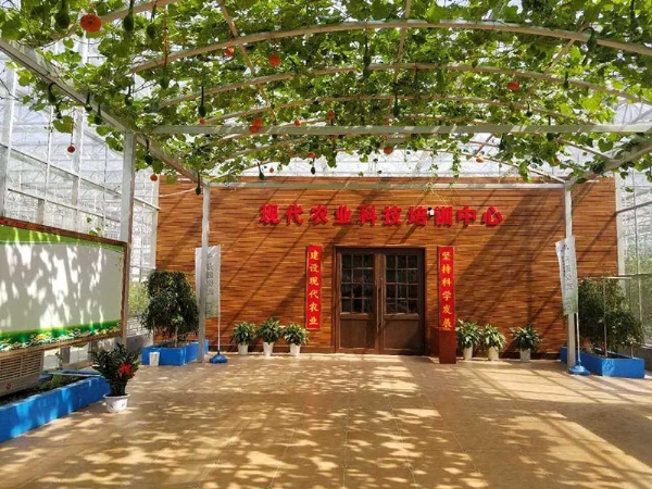 生態(tài)餐廳